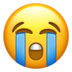 :sob: