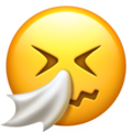 :sneezing-face: